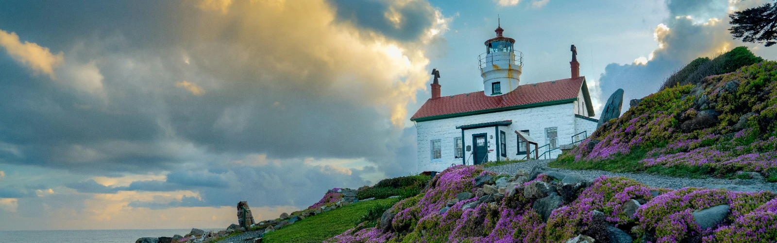 Things to do in crescent city CA