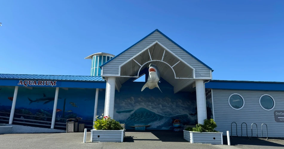 7 Mejores Cosas que Hacer en Crescent City