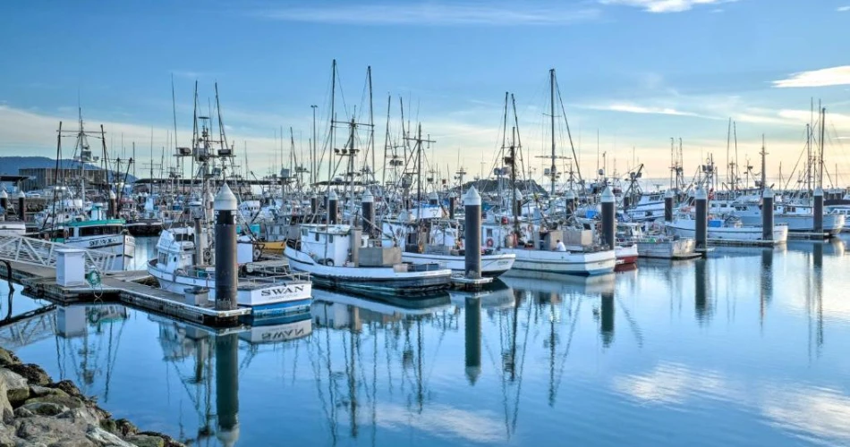 7 Mejores Cosas que Hacer en Crescent City