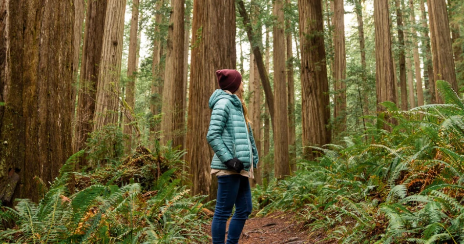 Las 15 mejores cosas que hacer en Crescent City para un viaje de fin de semana.