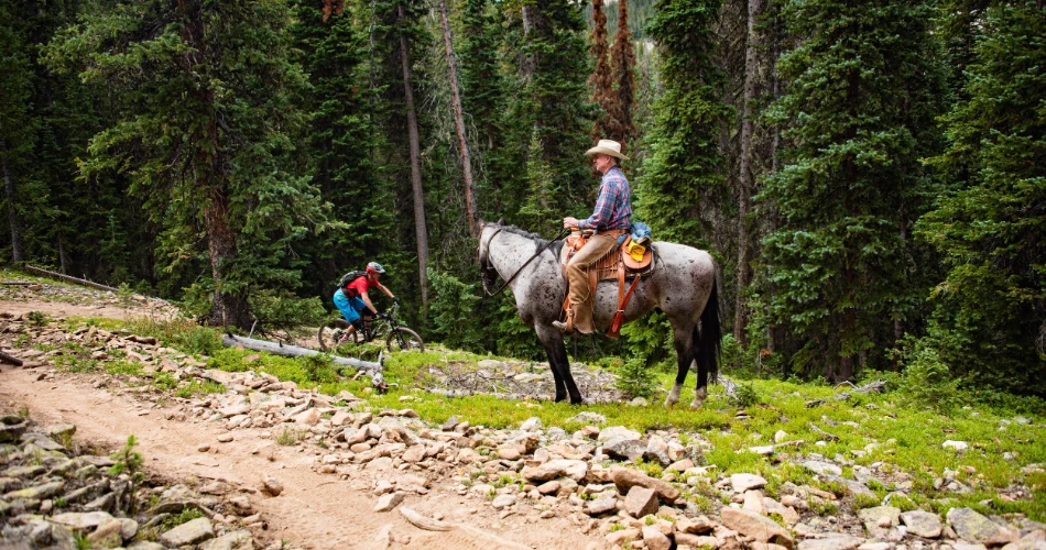 Las 15 mejores cosas que hacer en Crescent City para un viaje de fin de semana.