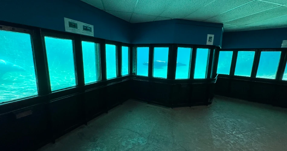 Las 15 mejores cosas que hacer en Crescent City para un viaje de fin de semana.