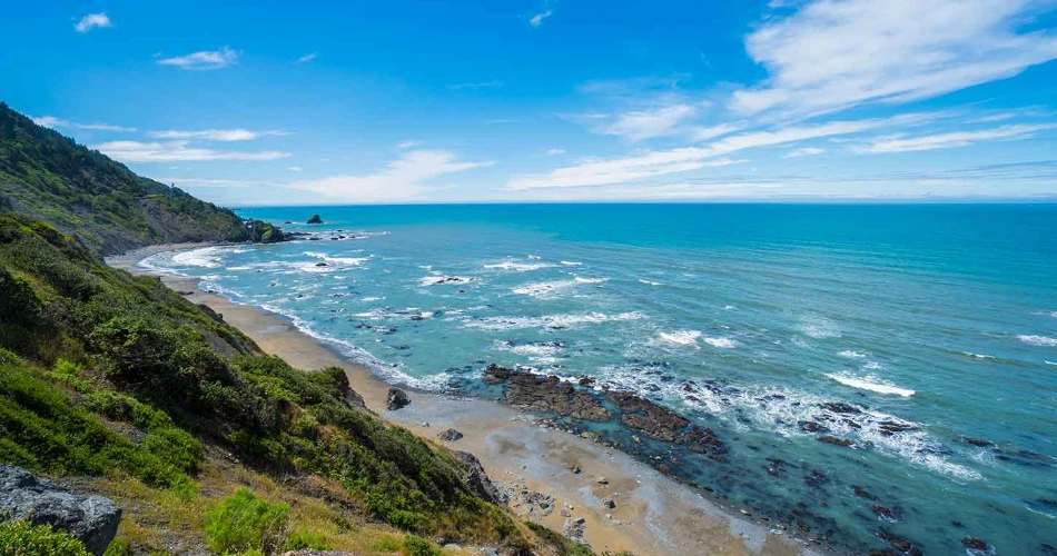 A Complete Guide to Redwood National Park