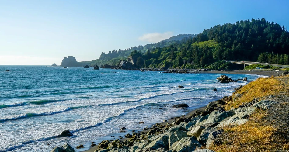 18 Mejores Cosas para Hacer en Crescent City, CA
