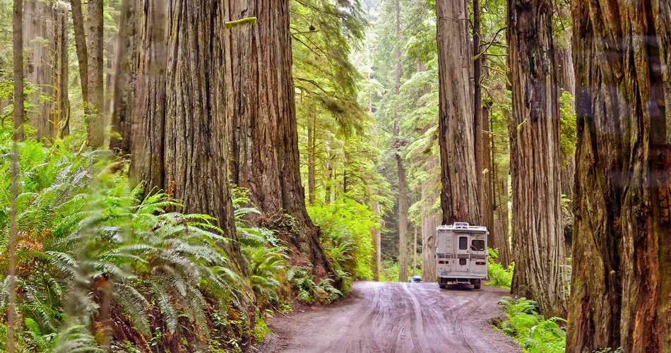 18 Mejores Cosas para Hacer en Crescent City, CA