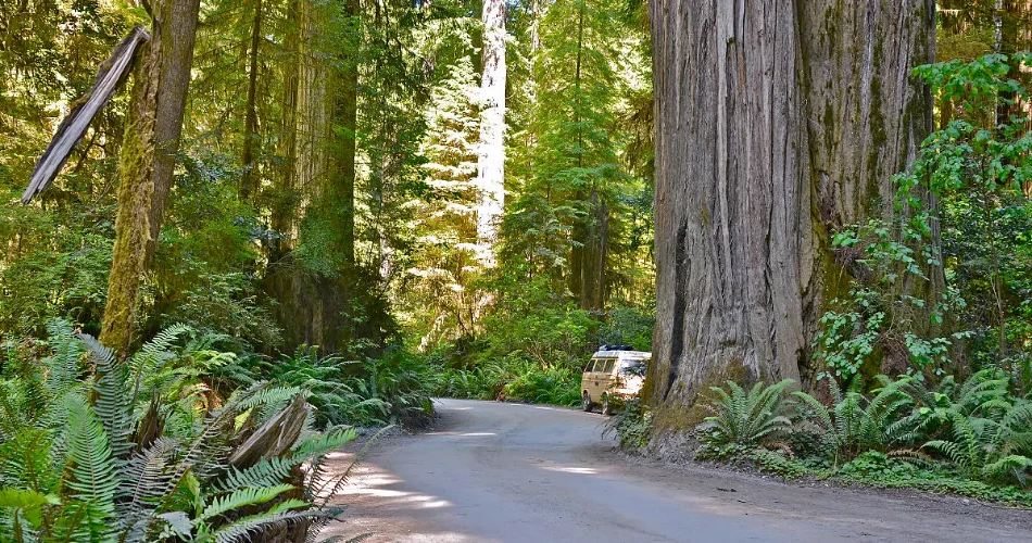 18 Mejores Cosas para Hacer en Crescent City, CA