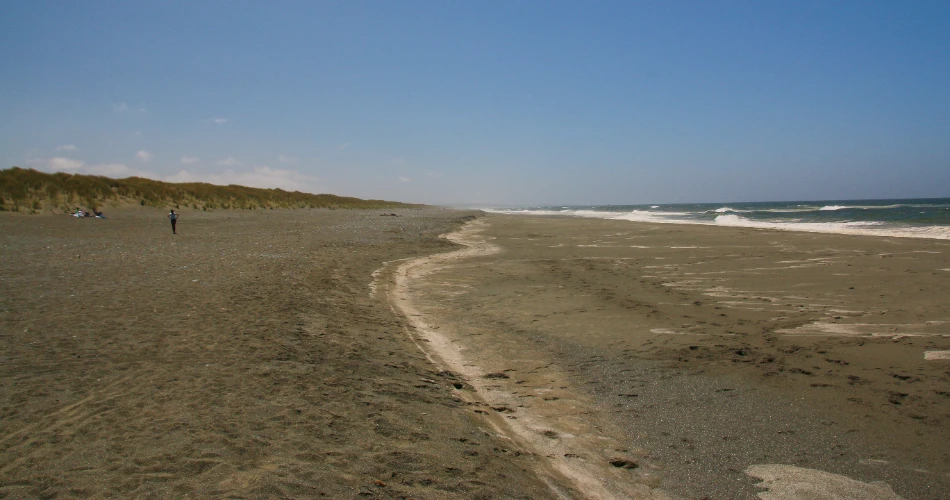 Top Attractions in Crescent City