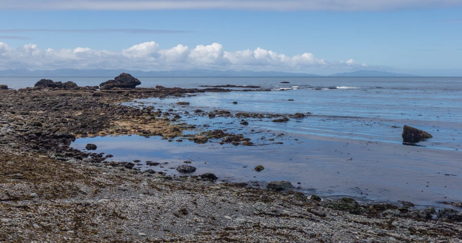 Top Attractions in Crescent City