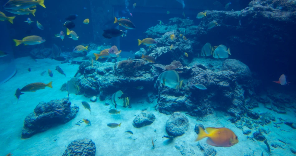 Top Attractions in Crescent City